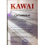 Фортепиано KAWAI у официального дилера в Кирове - Компании PROFISOUND